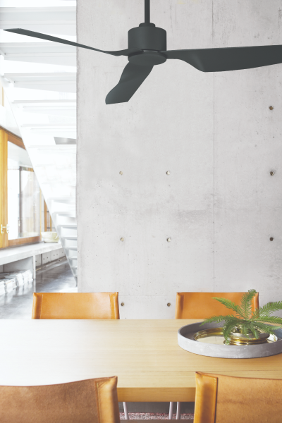 Ceiling Fans