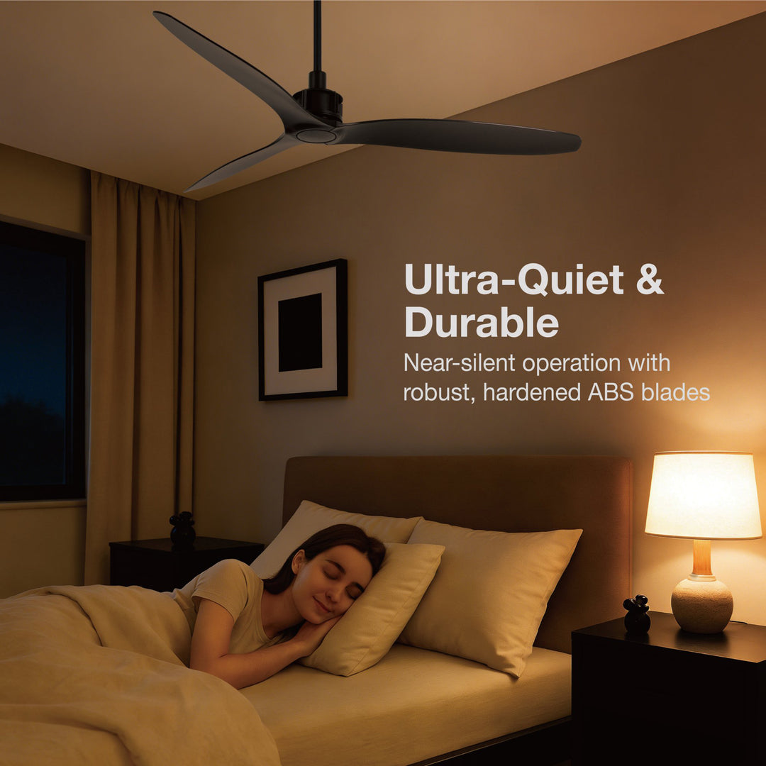 Lucci Air Viceroy 52" DC Ceiling Fan with Remote, Black Quiet High Airflow Ceiling Fan