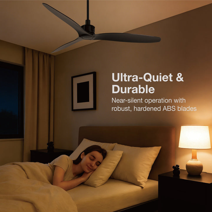 Lucci Air Viceroy 52" DC Ceiling Fan with Remote, Black Quiet High Airflow Ceiling Fan