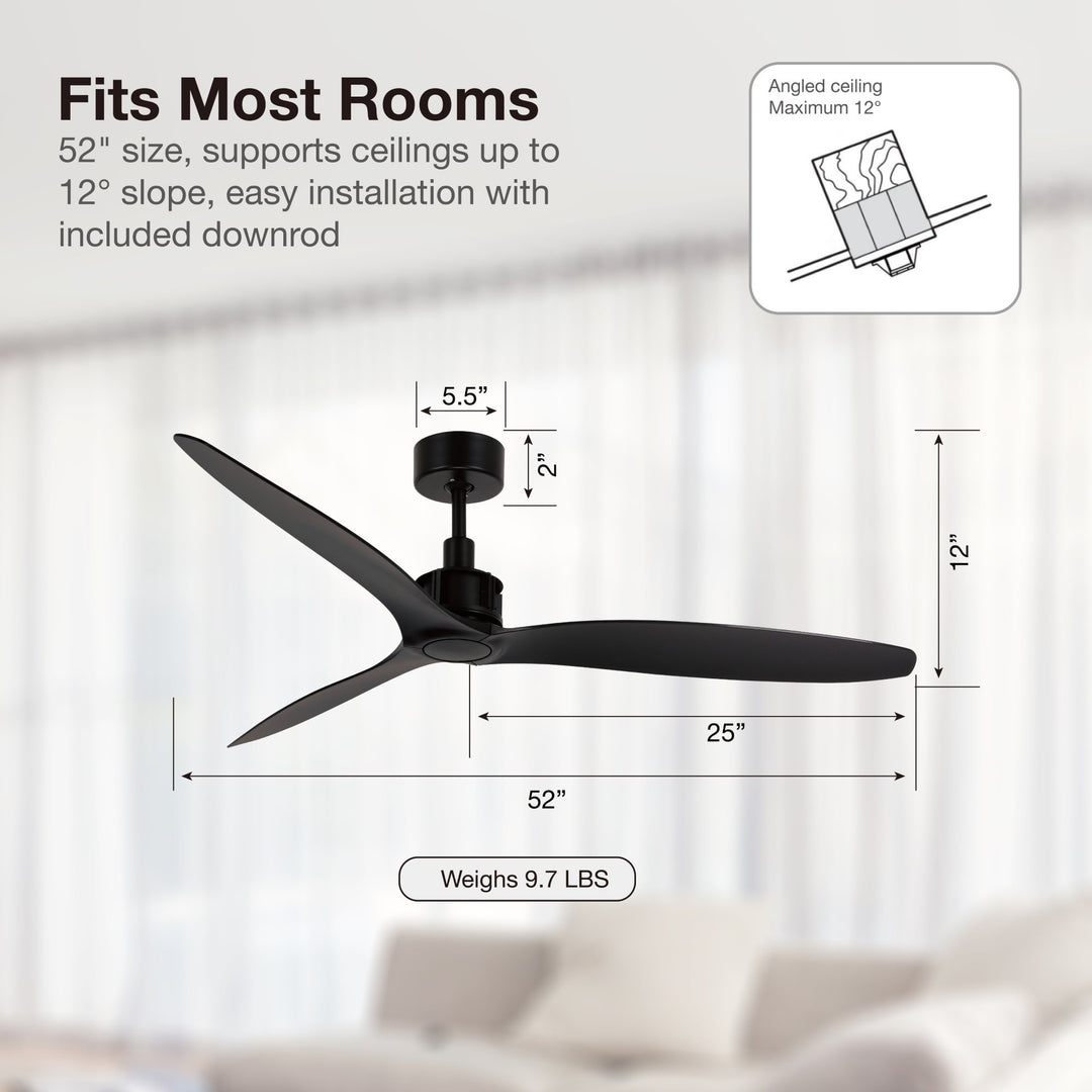 Lucci Air Viceroy 52" DC Ceiling Fan with Remote, Black Quiet High Airflow Ceiling Fan